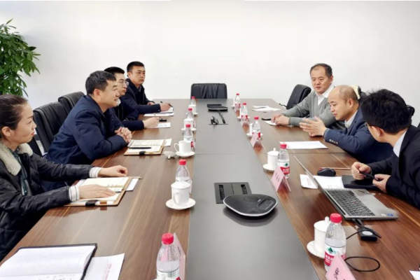数聪案例：某密码设备公司咨询服务